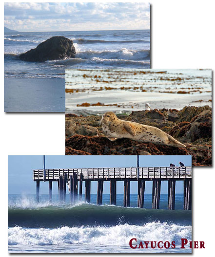 Cayucos Pier